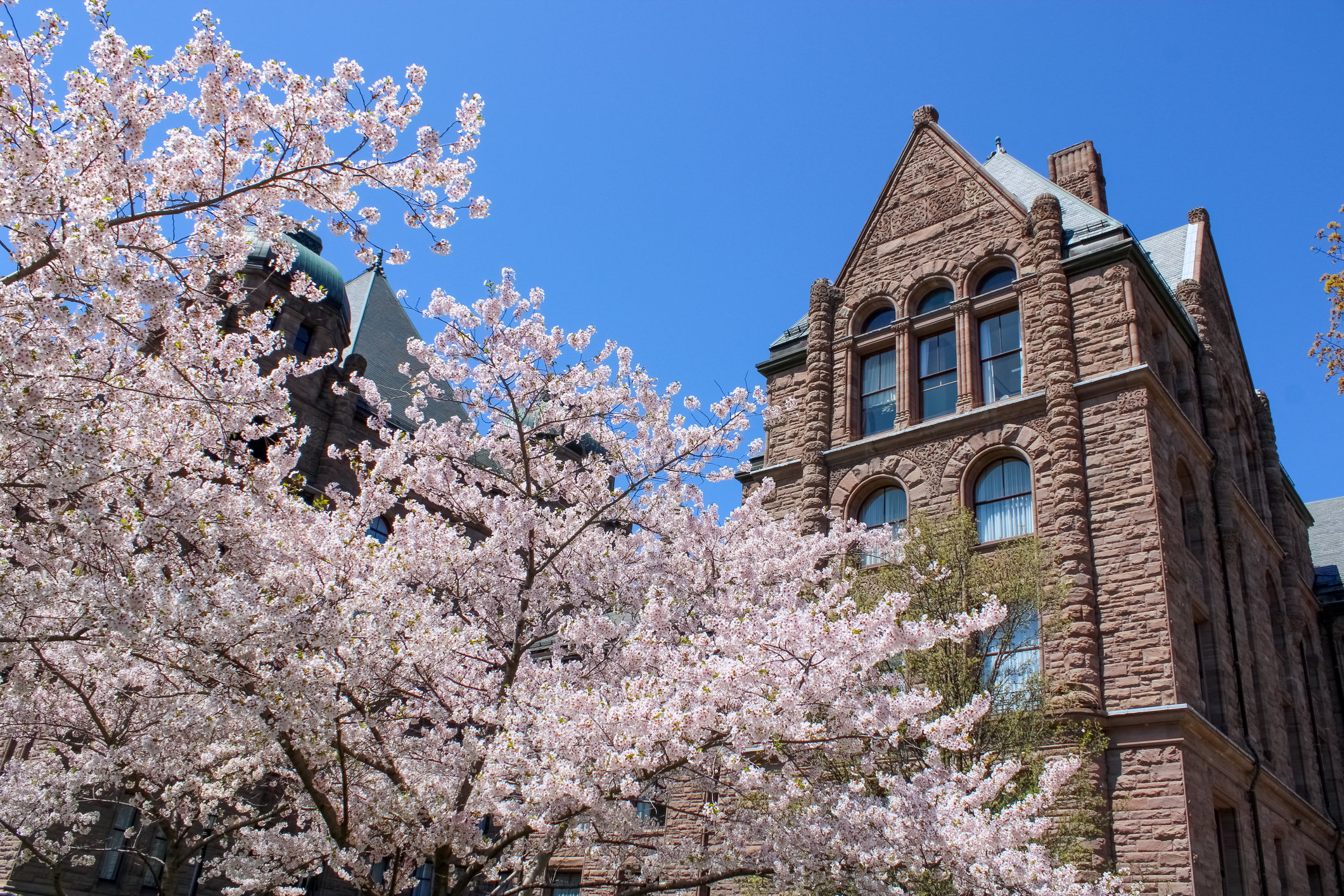 Queen's Park in Toronto where Budget 2026 was tabled yesterday