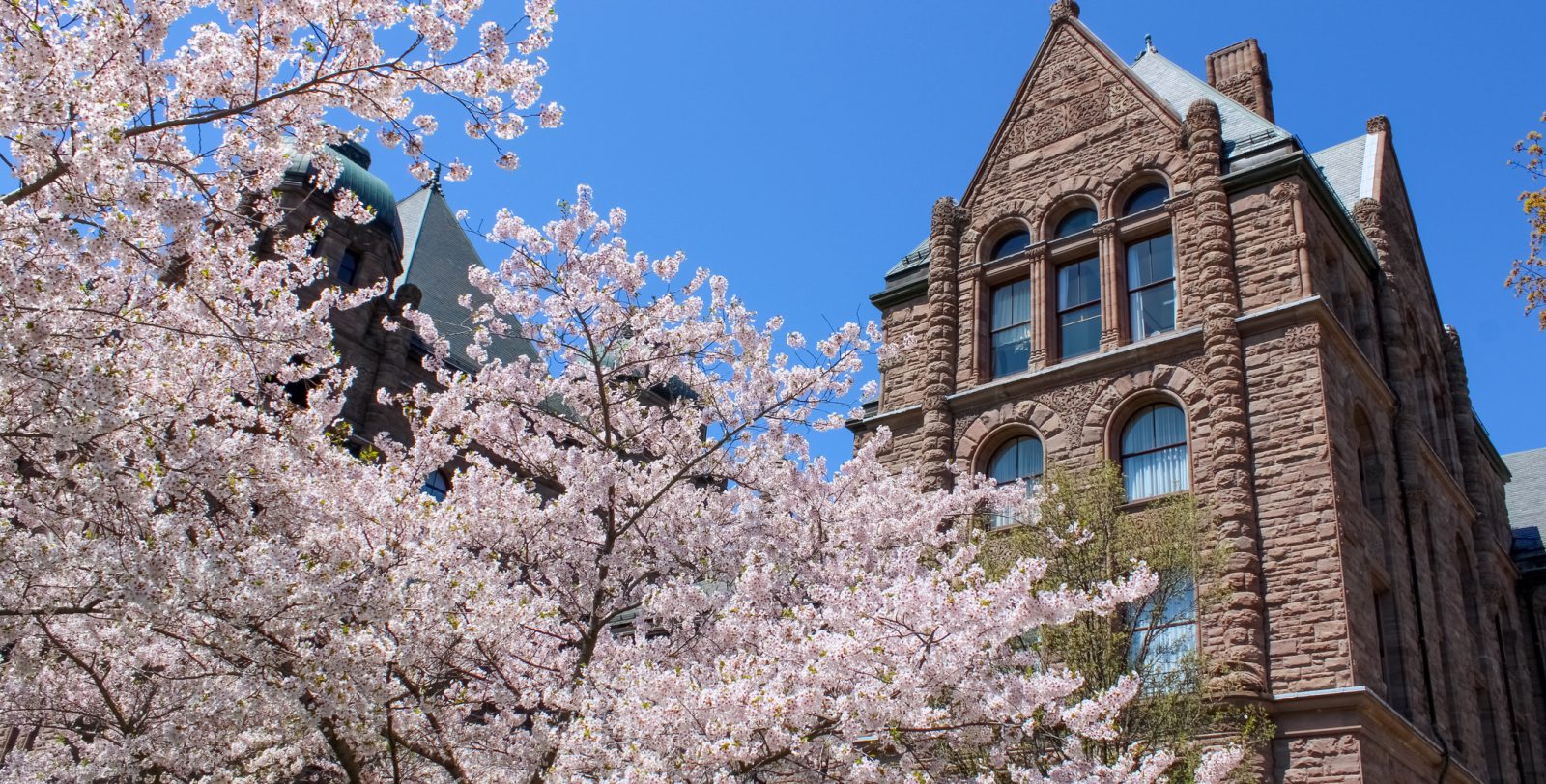 Queen's Park in Toronto where Budget 2026 was tabled yesterday